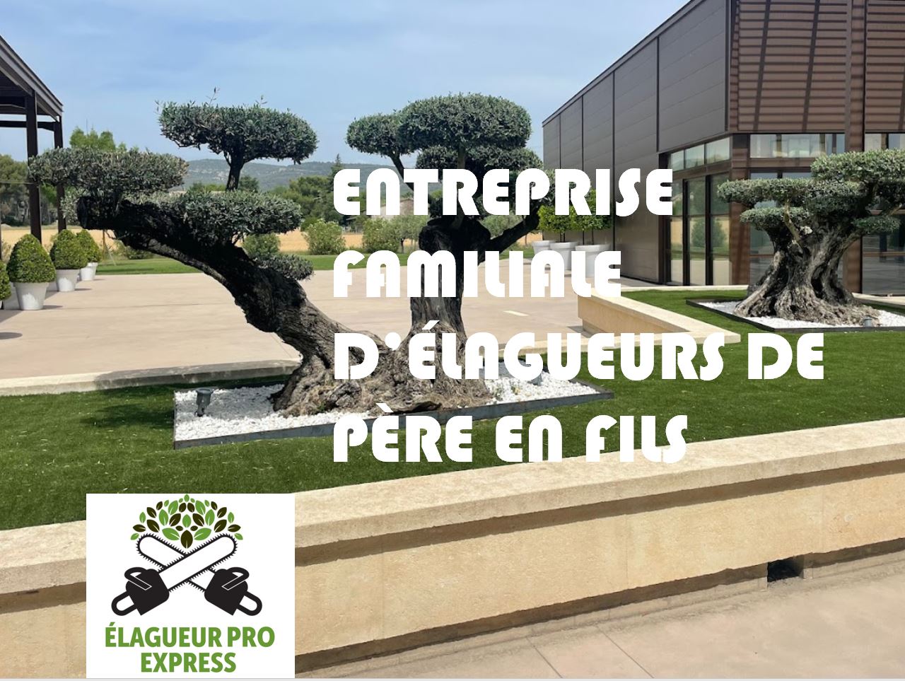 Elagueur Pro Express, élagage, entretien de jardins, défrichage,  dessouchage, tailles de haies, tonte de pelouse, paysagiste dans toute  l'Île-de-France